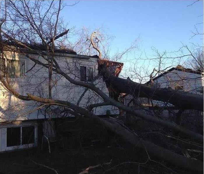 Fallen tree on a home in Metro Detroit due to a major wind storm