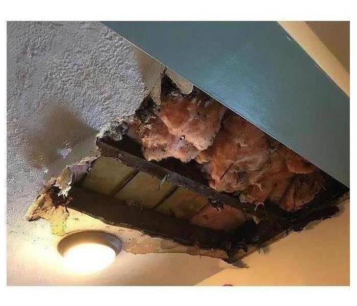 Collapsed ceiling exposing pipes and drywall