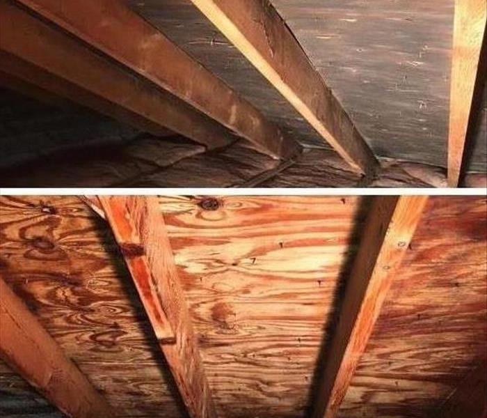 Before and after a mold clean up in a Lake Orion attic